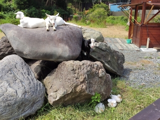 IMG_20190829_100252.jpg